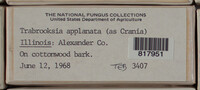 Image Associated With the Occurence